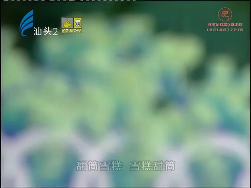 潮汕小品-旦减一句