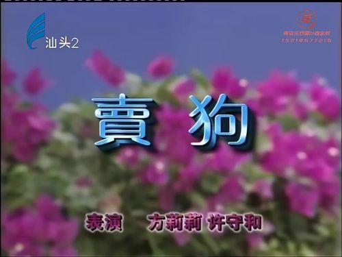 潮汕小品《卖狗》5秒