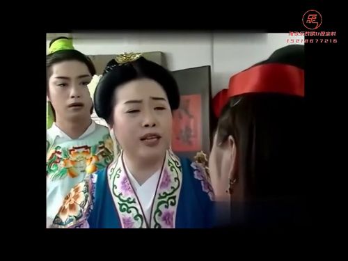 潮汕小品-错乱鸳鸯谱1815秒