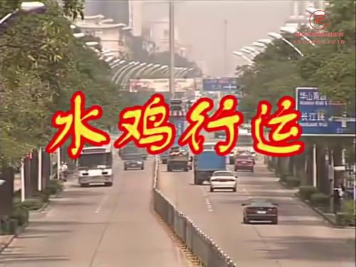 潮汕小品-水鸡行运