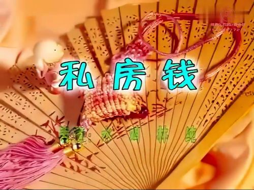潮汕小品-私房钱5秒