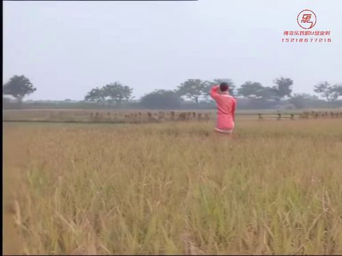 潮汕小品《双睛盲传奇》第一部-第一集1215秒