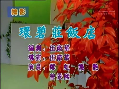 潮汕小品-环碧庄饭店5秒