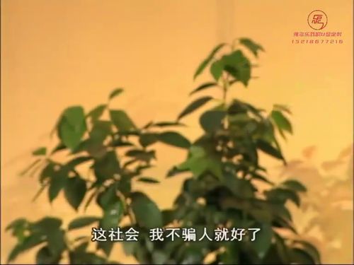 潮汕小品-连环套5秒