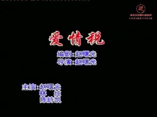 潮汕小品-爱情税5秒