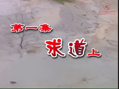 潮汕小品《洪阿猫传奇》-《求道》上10秒