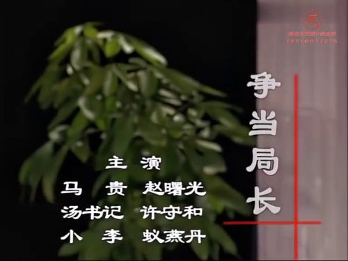 潮汕小品-争当局长5秒