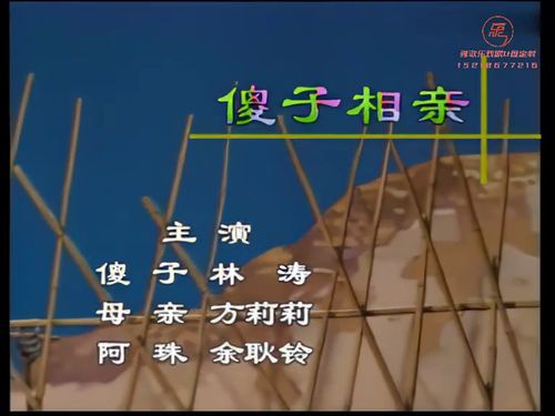 潮汕小品-傻子相亲5秒