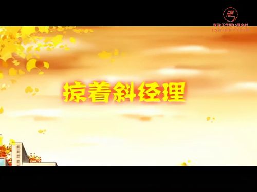 潮汕小品《掠着斜经理》10秒