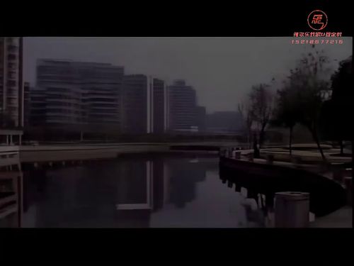 潮汕小品-《买碟》