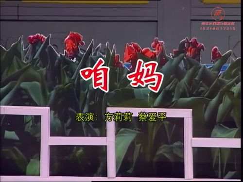 潮汕小品-咱妈