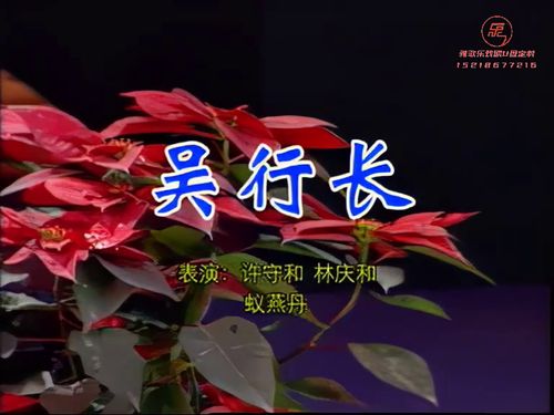 潮汕小品-吴行长