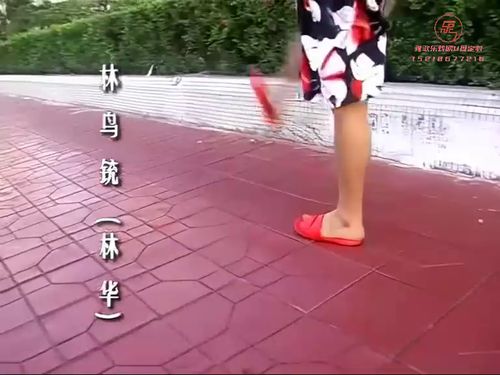 潮汕小品-梦鸟神功-《第一集》10秒
