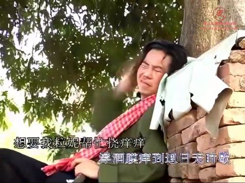 潮汕小品-梦鸟神功-《第一集》615秒