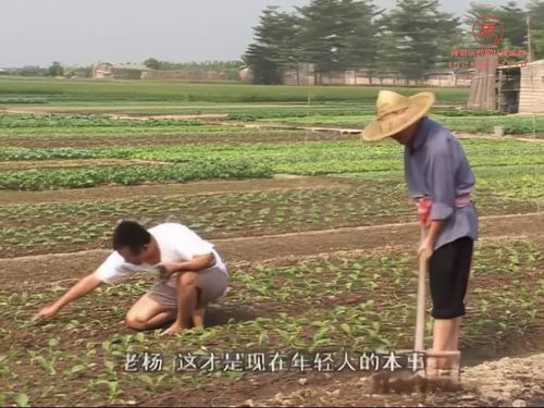 潮汕小品《咸蒜头与发廊妹》第一部-《B》615秒