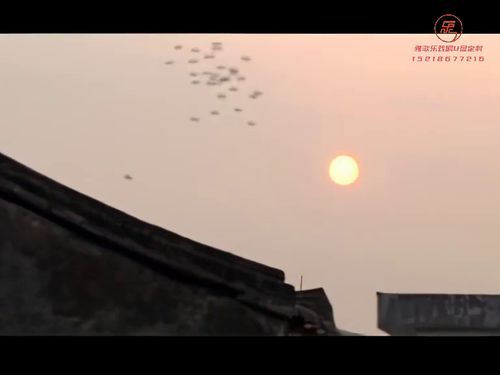 潮汕小品《咸蒜头卖仔》-《第二集》5秒