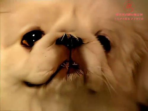 六合彩迷宫 第一部 第一集5秒